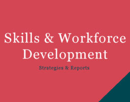 Skills & Workforce Development